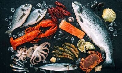 Angelica Seafoods Online