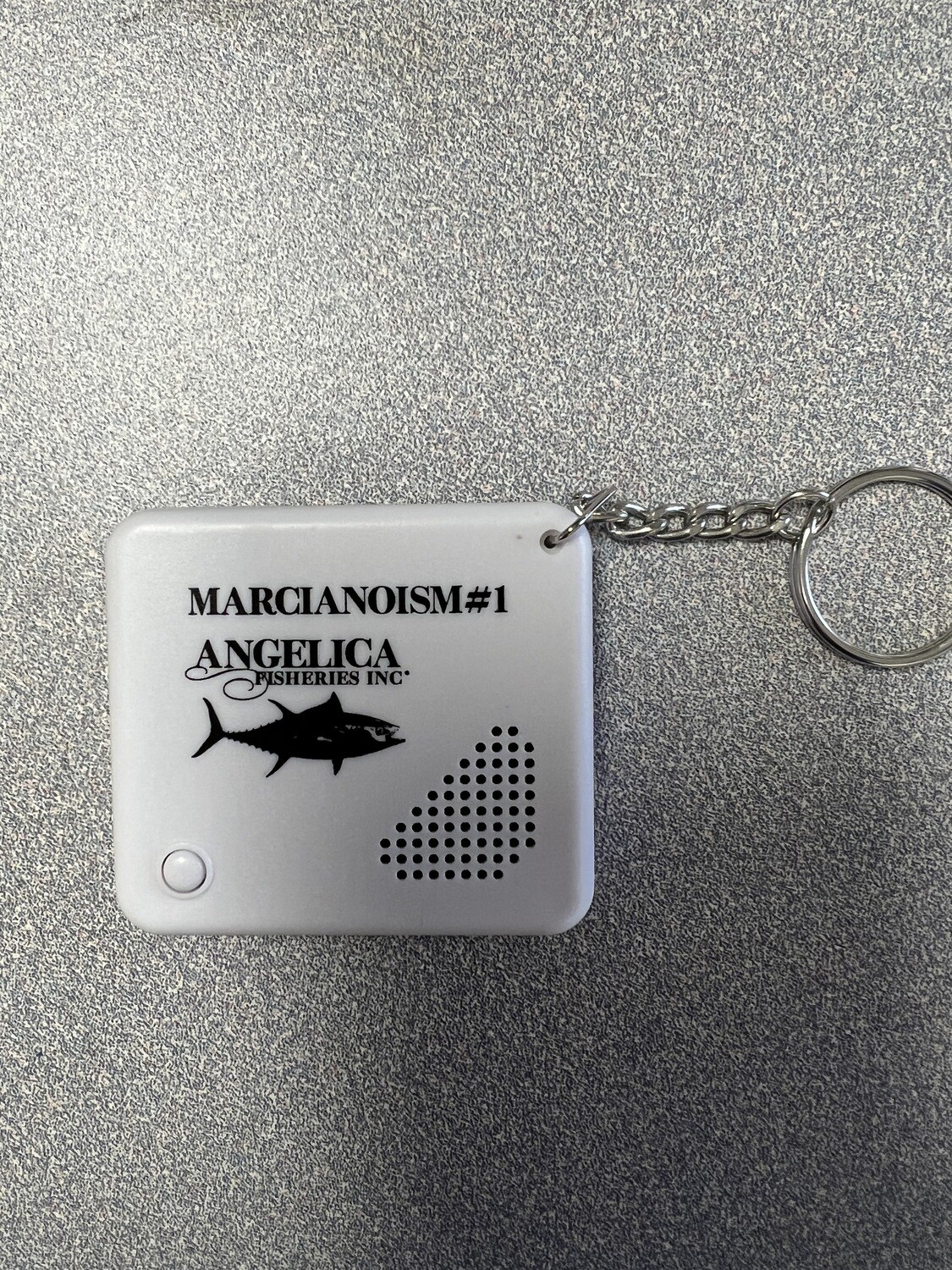 Voice Recorder Key Chain