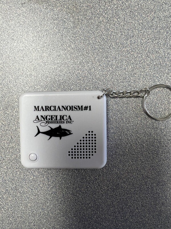 Voice Recorder Key Chain