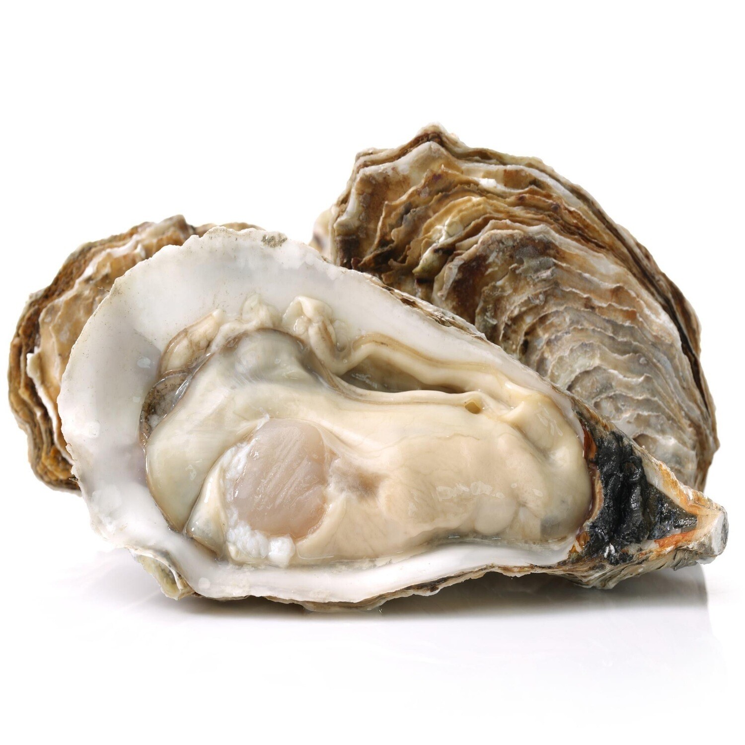 Oysters - Local Rowley River Oysters