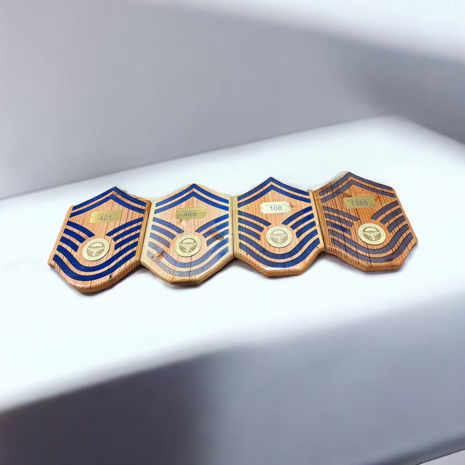 Air Force E8 Promotion Plaques