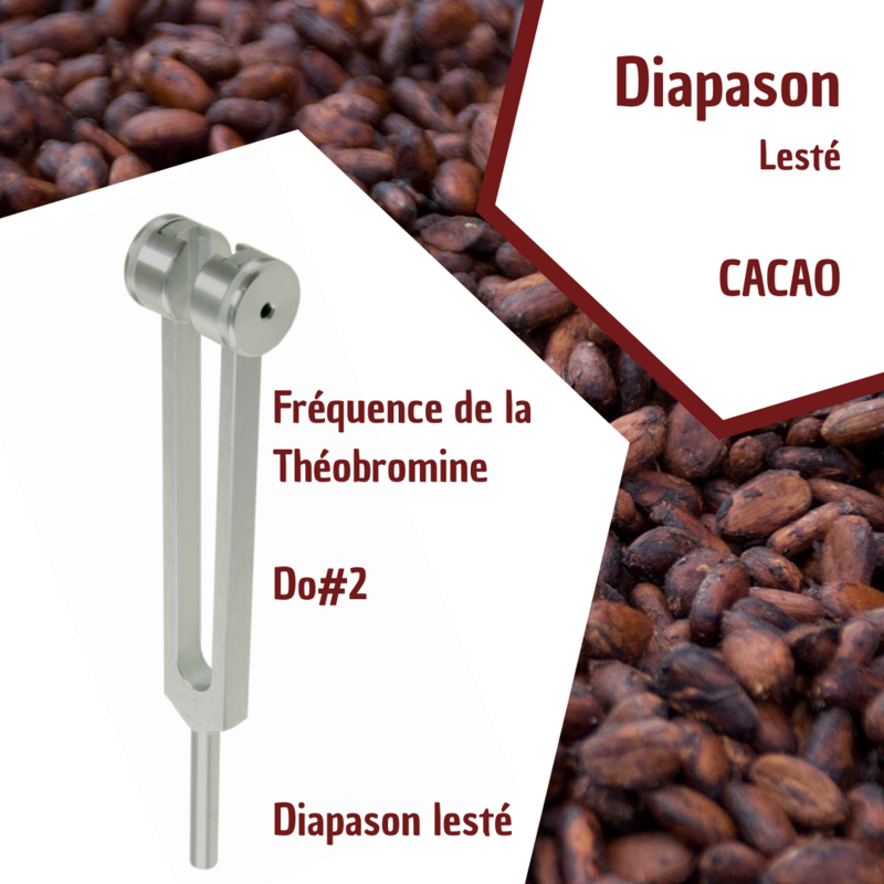 Diapason de la Théobromine - Do#2