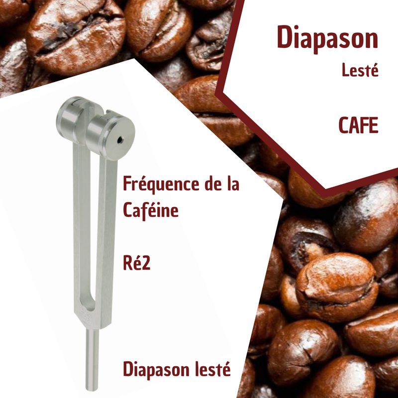 Diapason de la Caféine - Ré2