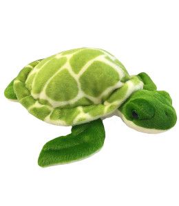 Shelldon the Sea Turtle