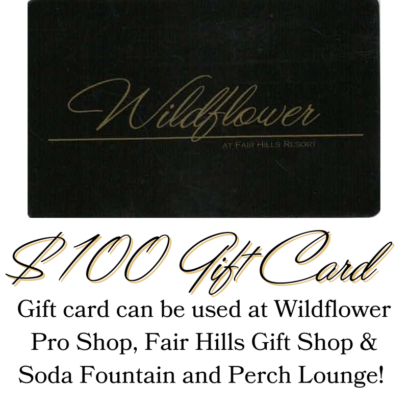 $100 Gift Card