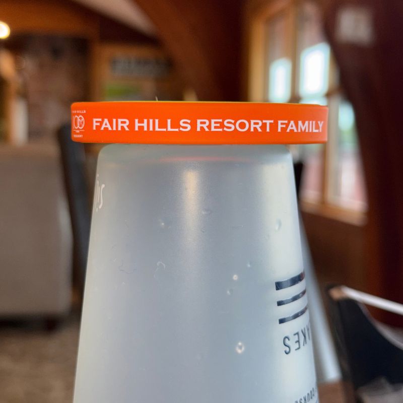 Fair Hills Family Band Bracelet: 31-40 Years (Orange)