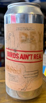 CoolHead - Tin Foil Hat Series #04: Birds Ain&#39;t Real Pale Ale 5.5% (DEYA Collab)