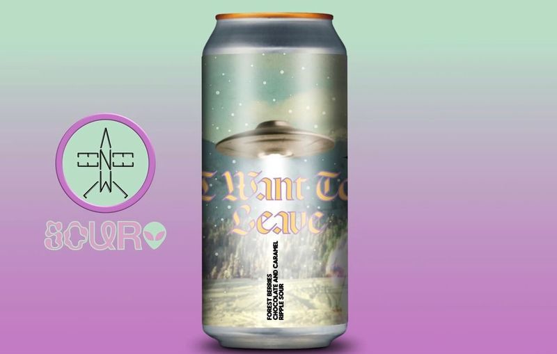 Elmeleven - I want to leave Forest Berries Chocolate &amp; Caramel Ripple Smoothie / Pastry Sour 5%