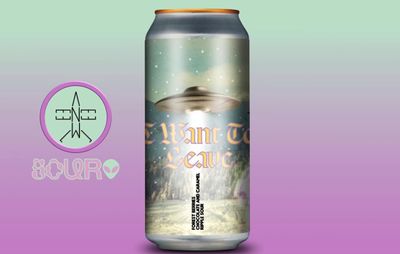 Elmeleven - I want to leave Forest Berries Chocolate &amp; Caramel Ripple Smoothie / Pastry Sour 5%