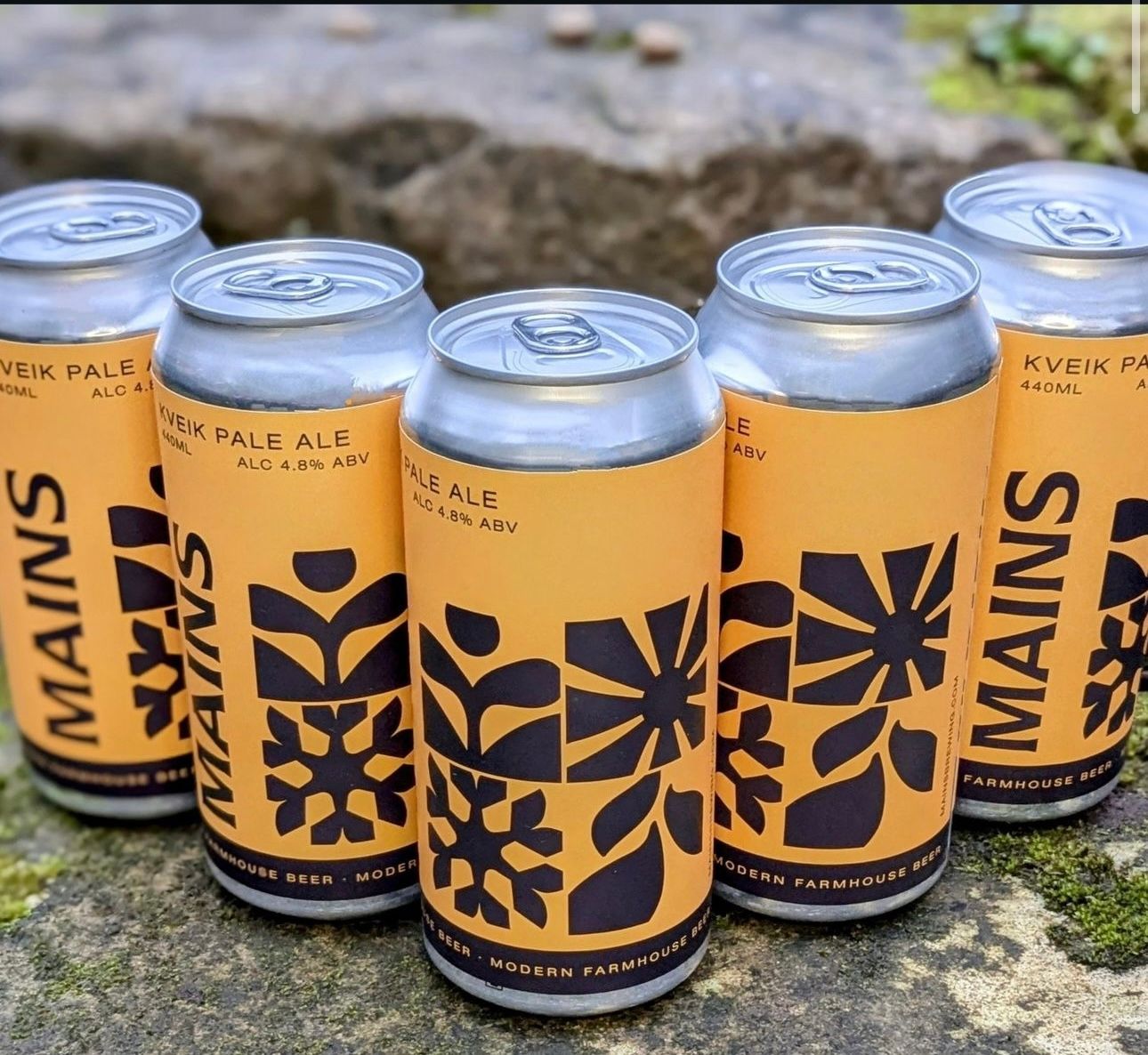 Mains Brewing - Kveik Pale Ale Tropical 4.8%