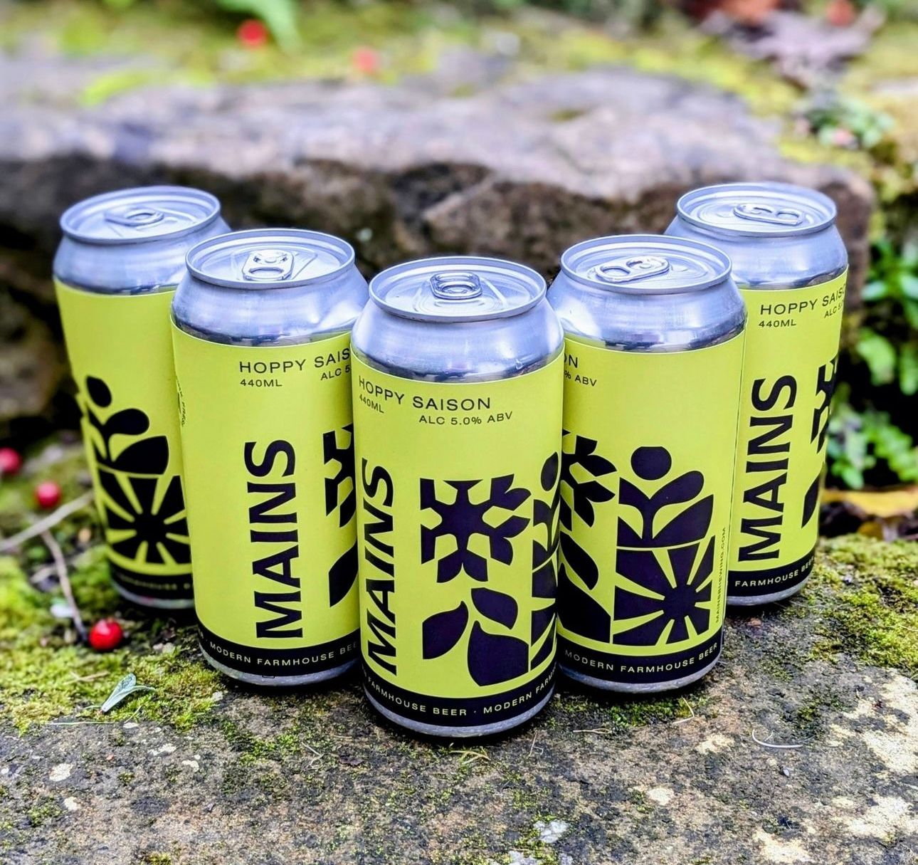Mains Brewing - Hoppy Saison 5%