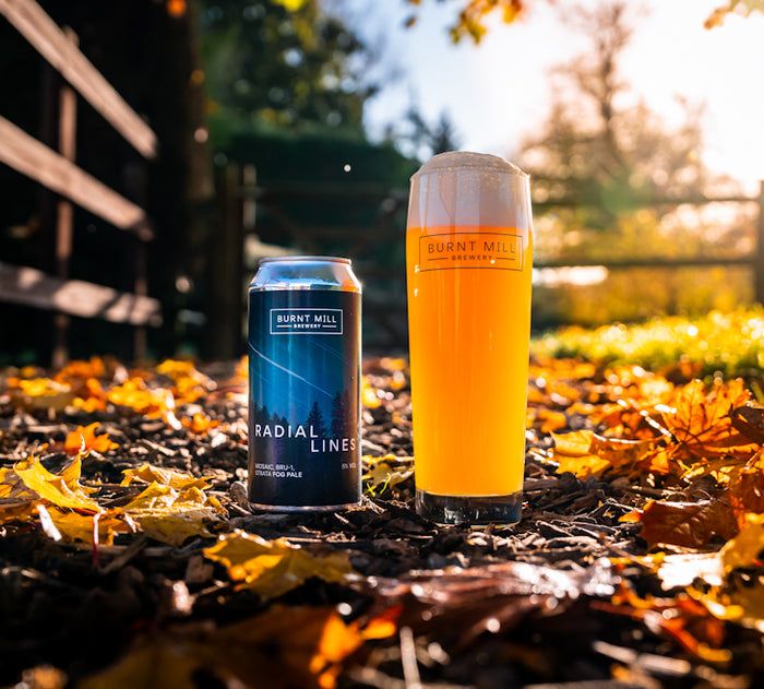 Burnt Mill - Radial Lines Fog Pale Ale 5.0%