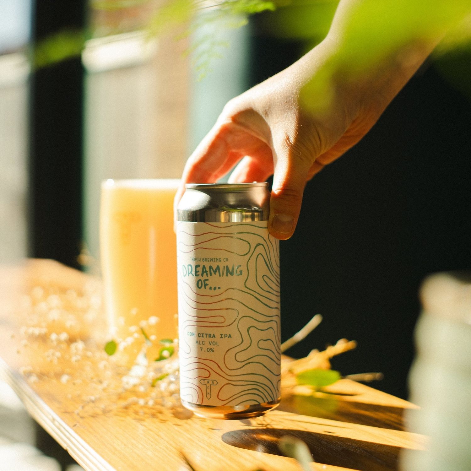 Track - Dreaming of Citra DDH IPA 7%