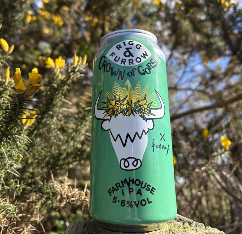 ​Rigg &amp; Furrow ​- Crown of Gorse  Farmhouse IPA 5.6%