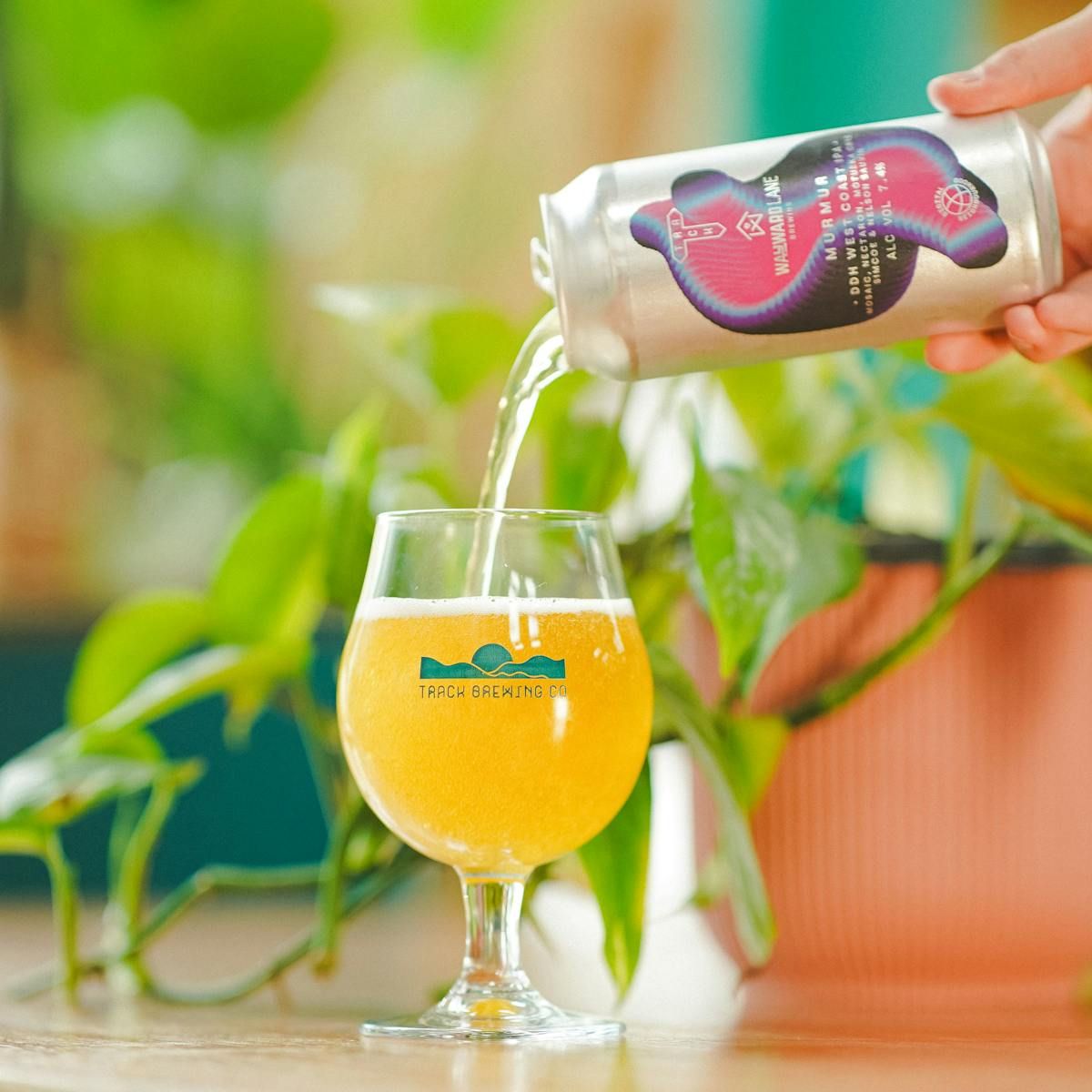 Murmur (Wayward Lane Collab - WTTN #1) DDH West Coast IPA  7.4%