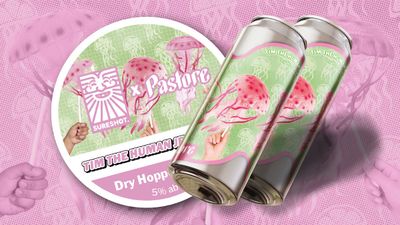 Sureshot - Tim The Human Jellyfish Nelson Dry Hopped Sour with Lime 5.0 % (Collab with Pastore)