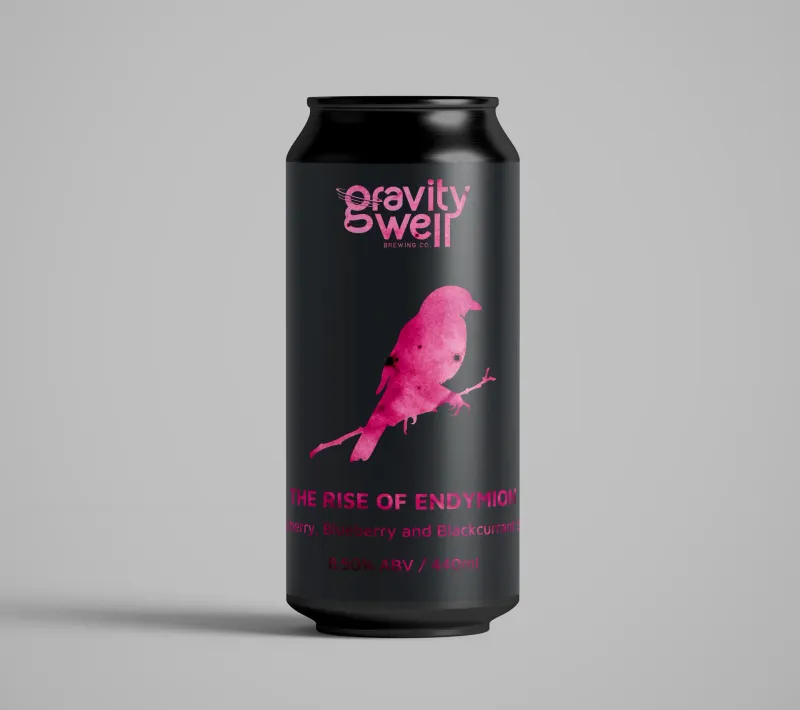 Gravity Well - The Rise of Endymion Raspberry, Blueberry and Blackcurrant Imperial Fruit Sour 8.5% [Singularity Series]