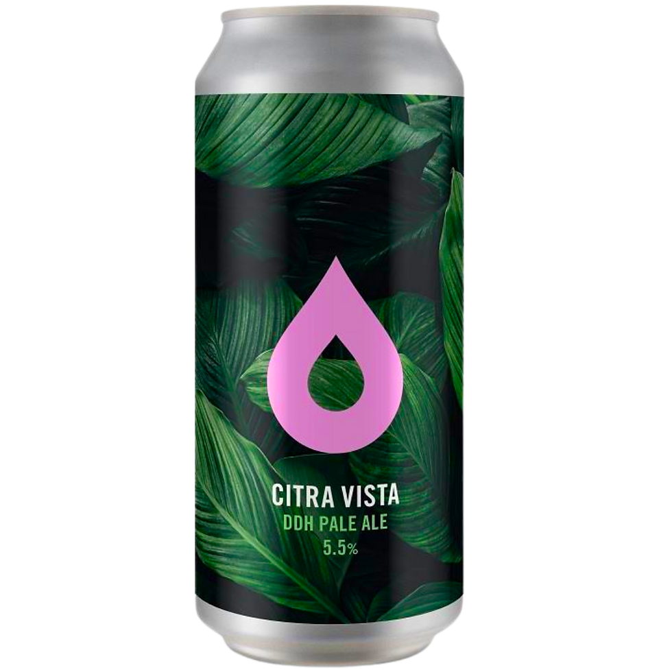 Polly&#39;s  - Citra Vista DDH Pale Ale 5.5%