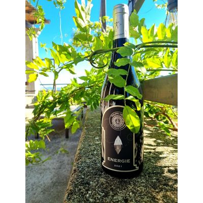 Domaine Viret - Energie 2021 12.5% (Red)