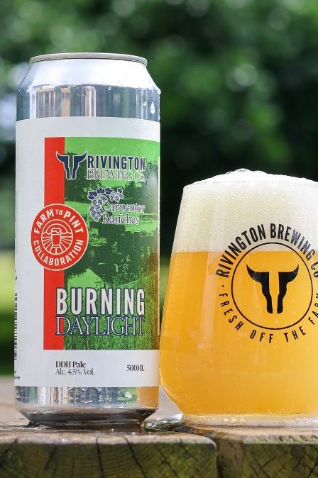 Rivington Brewing Co. - Burning Daylight DDH Pale Ale 4.5%