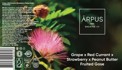 Arpus - Grape X Red Currant X Strawberry X Peanut Butter Fruited Gose 4.5%