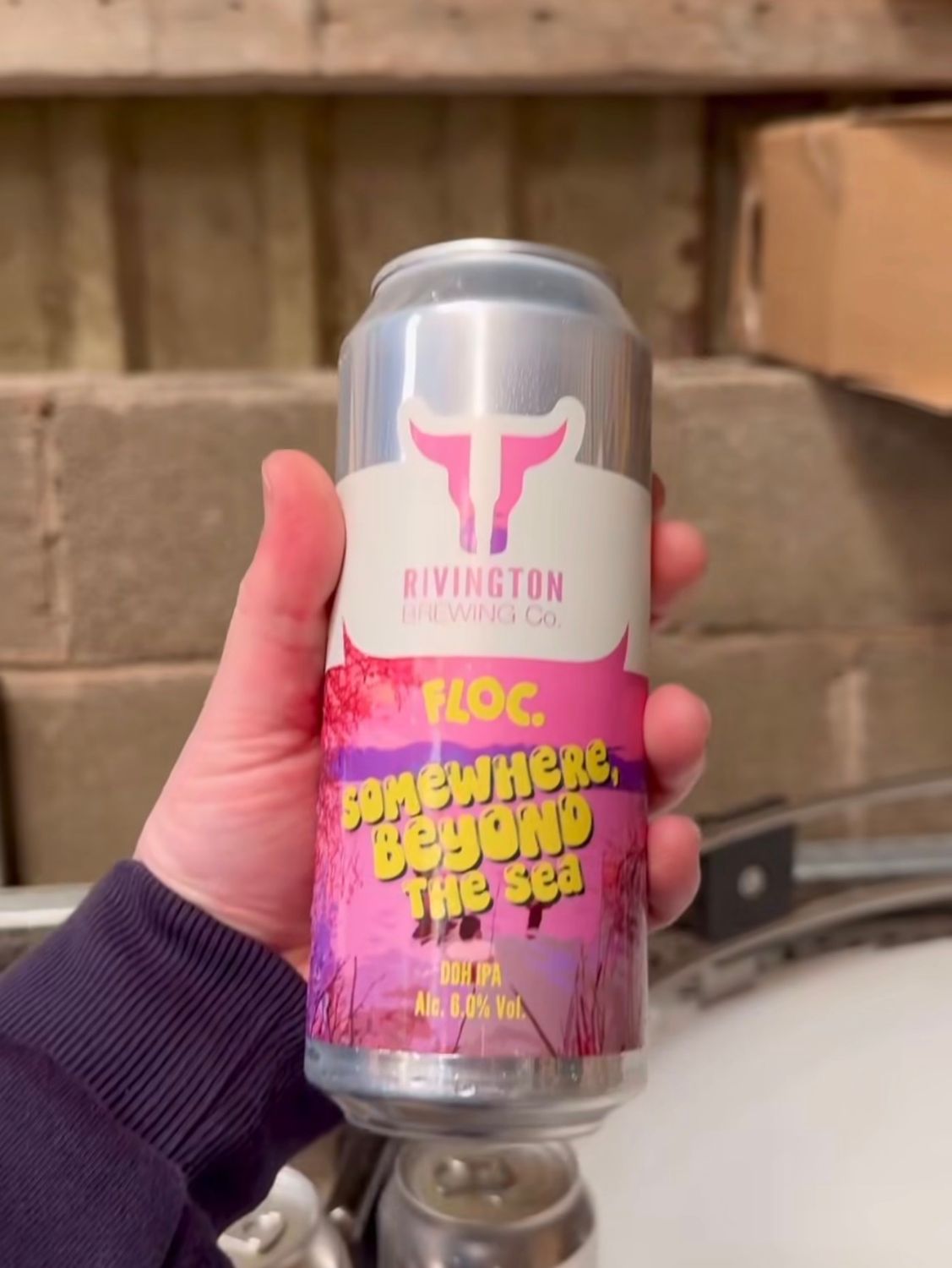 Rivington - Somewhere Beyond the Sea DDH IPA 6% ​PRE-ORDER BEER - ARRIVING 13TH MAY