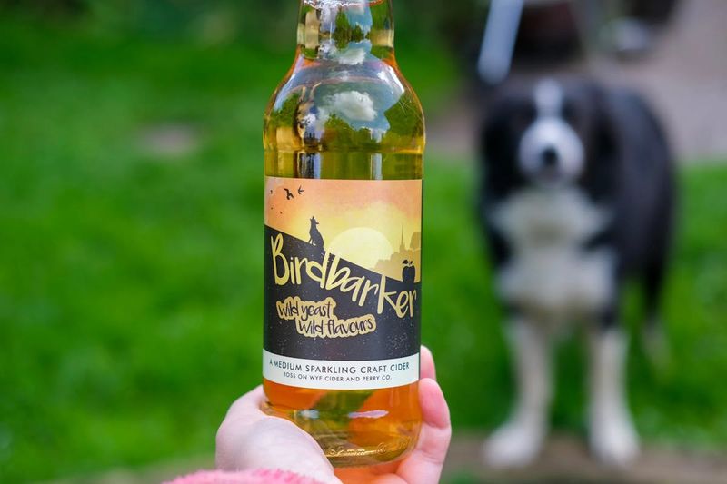 Ross on Wye Cider - Birdbarker Cider Medium Sparking Cider 5.8%