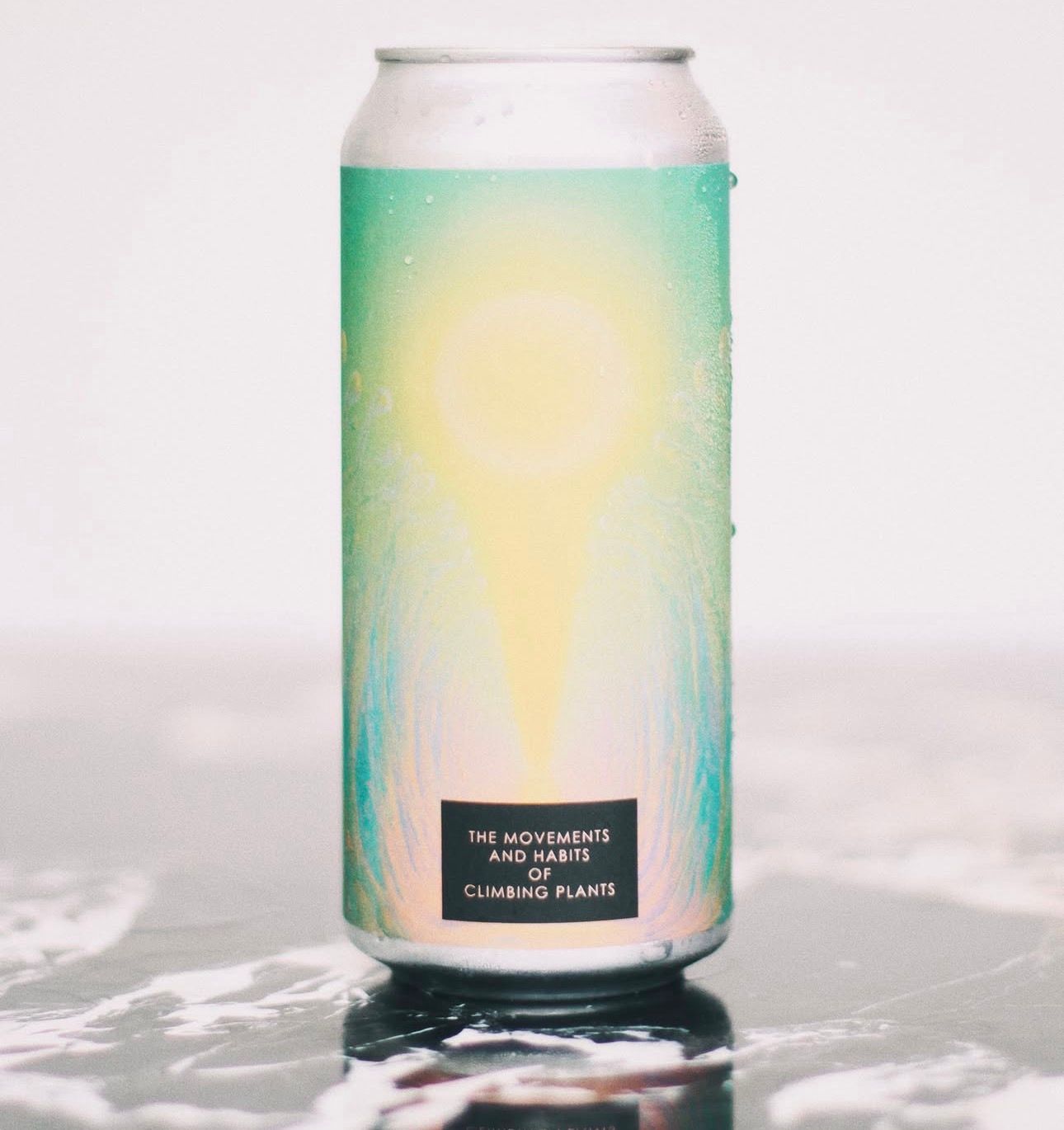 Test - The Movement And Habbits Of Climbing Plants DIPA 8% (4.41 untp) PRE-ORDER - BEER ARRIVING ARRPOX 10TH SEPTEMBER