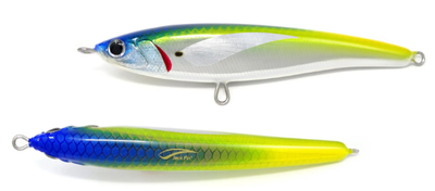 JACK FIN PELAGUS 165-S COLOR FUSILIER