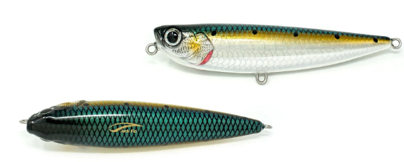 JACK FIN SALTY DOG 100 COLOR SARDINE