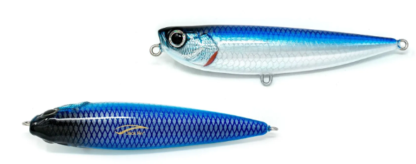 JACK FIN SALTY DOG 100 COLOR ACCIUGA