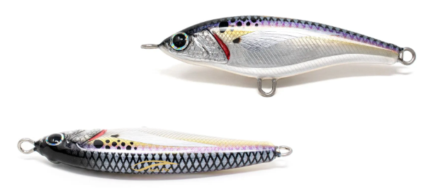 JACK FIN PELAGUS 75-S