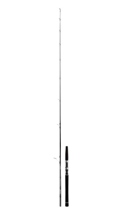 DAIWA Saltist Inshore 2.35 m 40-70 g