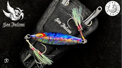 SEA FALCON Z Slow Pitch Jigs, 65g color 01
