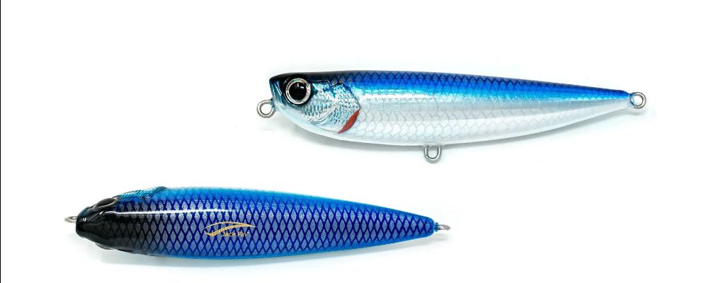 JACK FIN SALT DOG 85 COLOR ACCIUGA