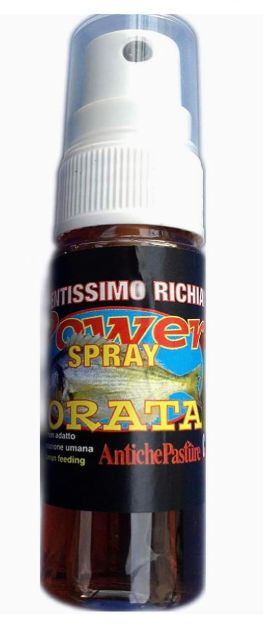 ANTICHE PASTURE SPRAY ORATA CC.20
