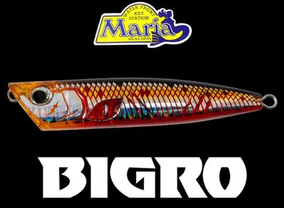 YAMASHITA BIGRO SLOW SINKING 95MM 18GR COLOR 002