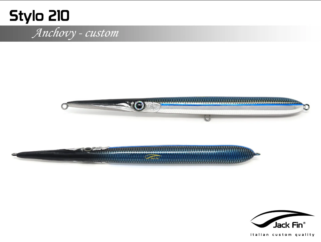 JACK FIN STYLO 210 color anchovy custom