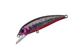 PALMS DEGREE 90F COLOR MG-81