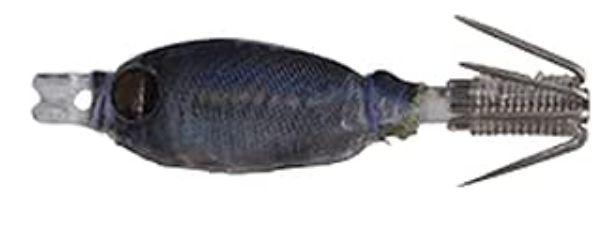 Yamashita Oppai Sutter Naory Kimura 1.2 col AJKM