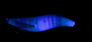 YAMASHITA NAORY RANGE 1.8B COLOR 877