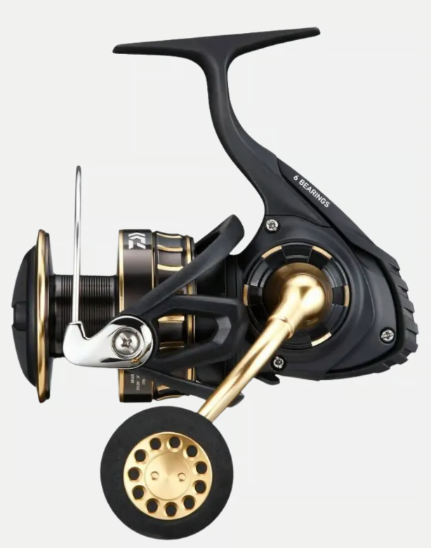 DAIWA BG SW 8000-H