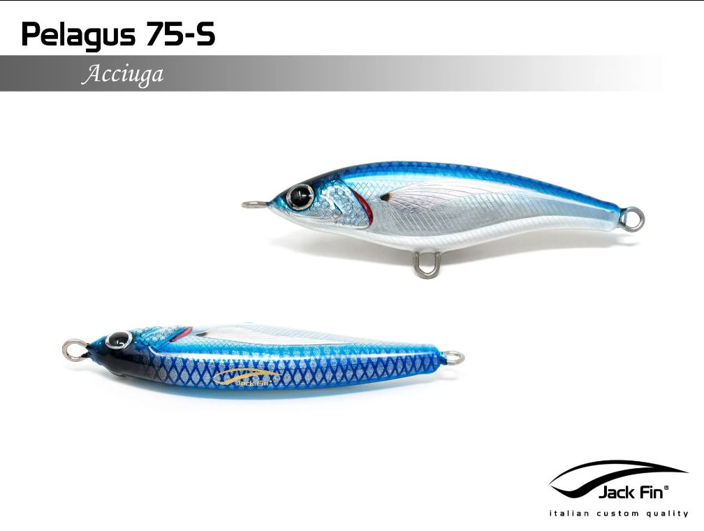 JACK FIN PELAGUS 75-S COLOR ACCIUGA