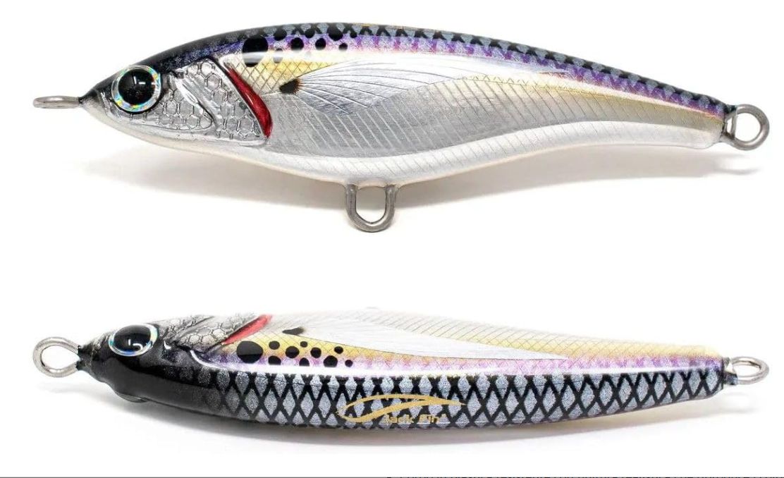 JACK FIN PELAGUS 75-S COLOR BUNKER CUSTOM