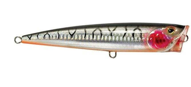 Rapture CORSARO 140 COLOR 550 Rapture CORSARO 140 COLOR 550