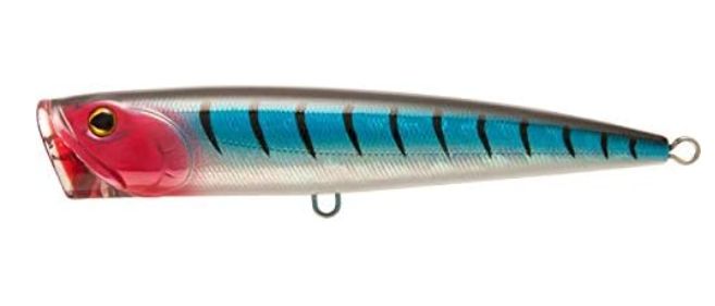 Rapture CORSARO 140 COLOR 566 Rapture CORSARO 140 COLOR 566