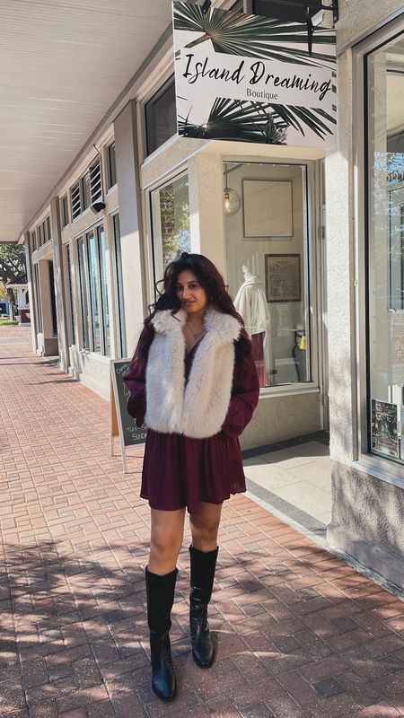 Wine Mini Dress