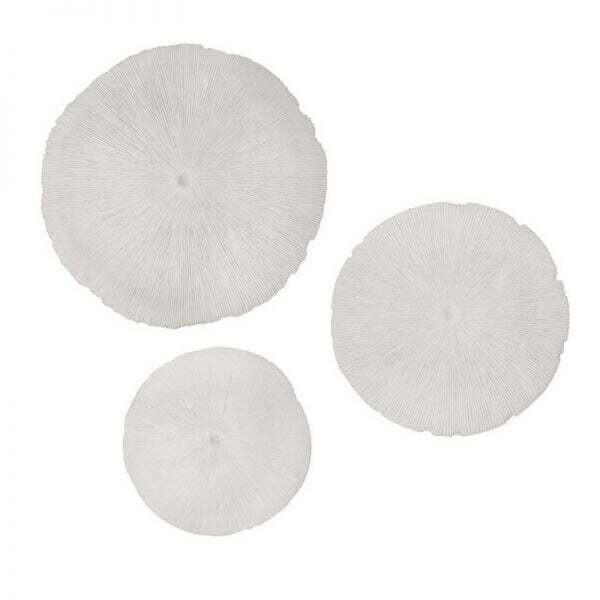 SIF Sand Dollar Small