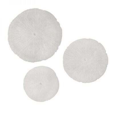 SIF Sand Dollar Small