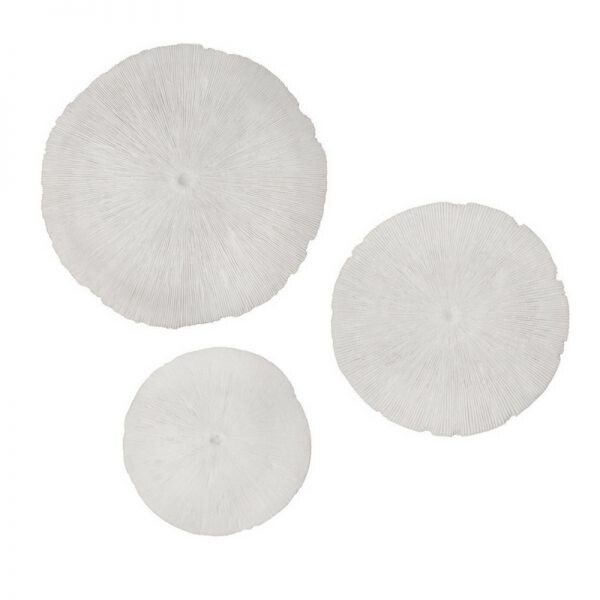 SIF Sand Dollar Large